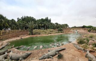 Sehenswürdigkeiten Agadir